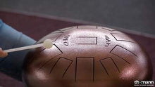 Asian Sound HAPI Drum Ufo D diatonic